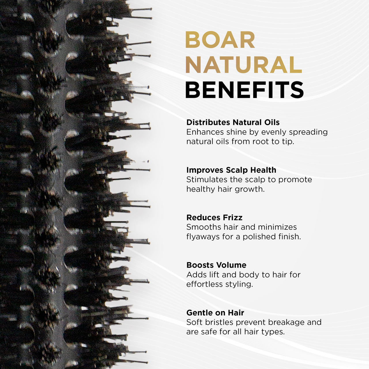 Cocco Black Series Ceramic Boar Brush (Select Size)